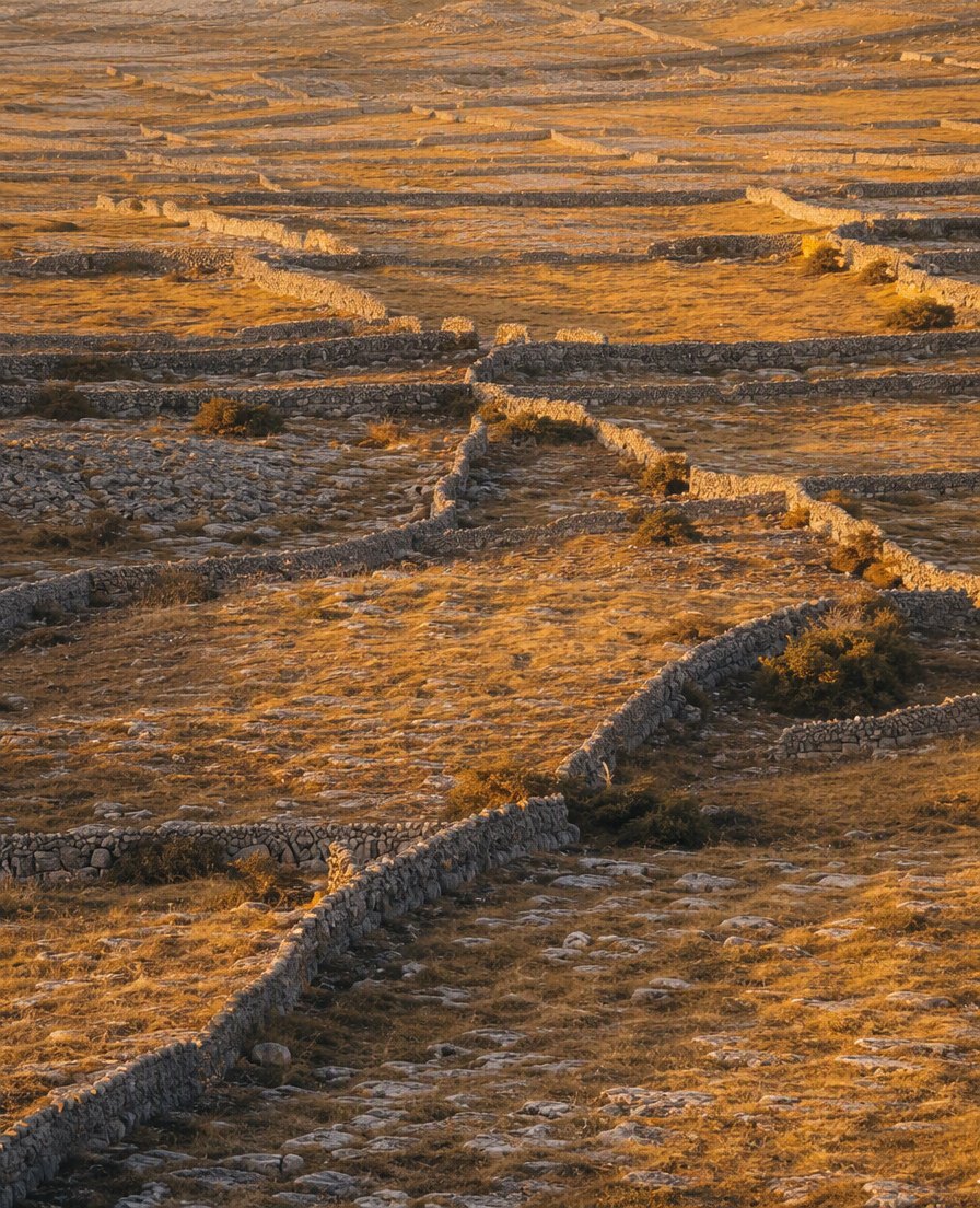 Dry-stone walls crisscrossing a karst field